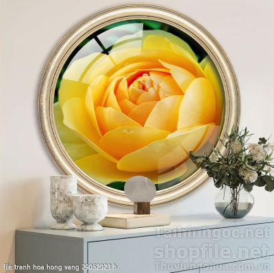file tranh hoa hong vang 29052023 h