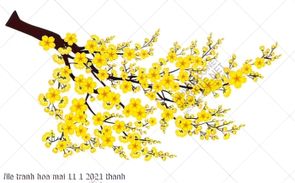 file tranh hoa mai 11 1 2021 thanh file tranh hoa mai 11 1 2021 thanh