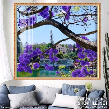 file tranh hoa phuong tim 06032023 hanh