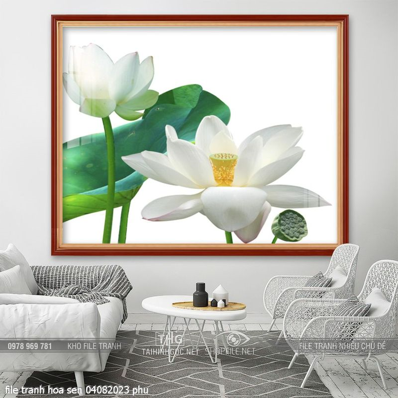 file tranh hoa sen 04082023 phu