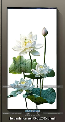 file tranh hoa sen 06082025 thanh