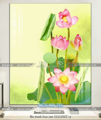 file tranh hoa sen 22112025 vy