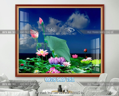 file tranh hoa sen bau troi 132025 ho