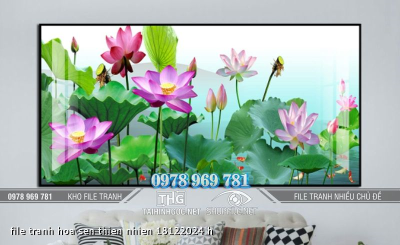 file tranh hoa sen thien nhien 18122024 h