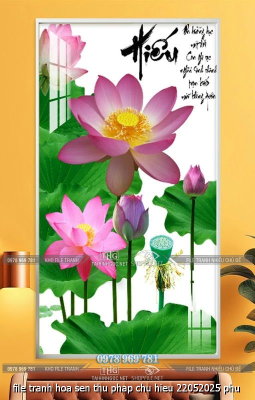 file tranh hoa sen thu phap chu hieu 22052025 phu