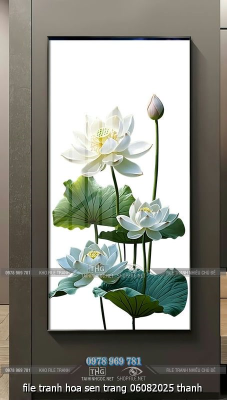 file tranh hoa sen trang 06082025 thanh