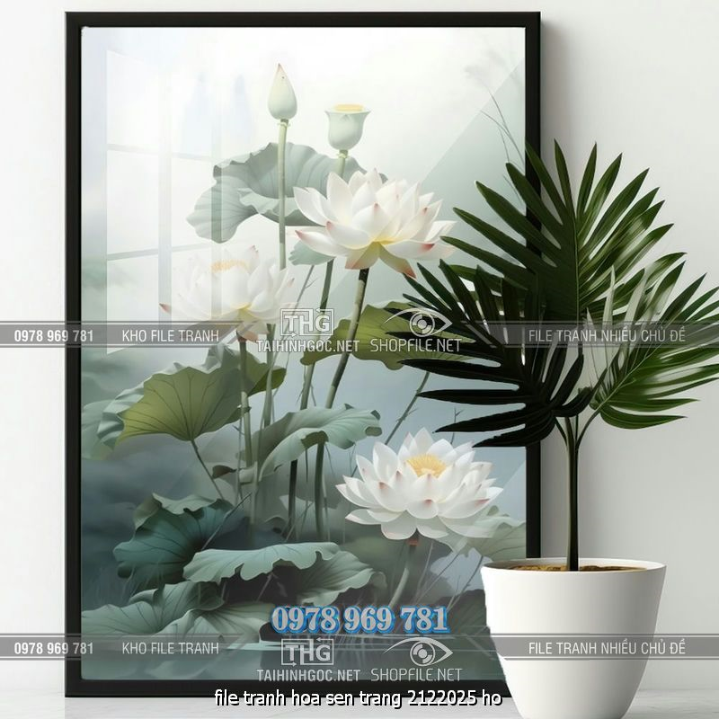 file tranh hoa sen trang 2122025 ho