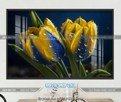 file tranh hoa tulip 14022025 phu