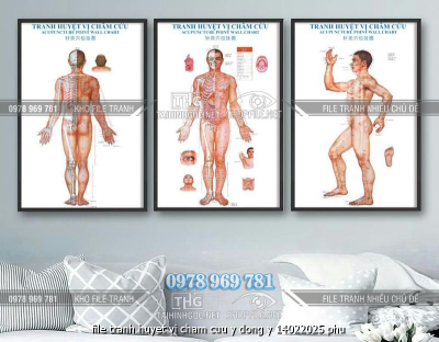 file tranh huyet vi cham cuu y dong y 14022025 phu