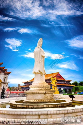 file tranh in uv phat giao 002