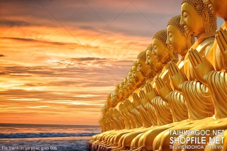 file tranh in uv phat giao 006