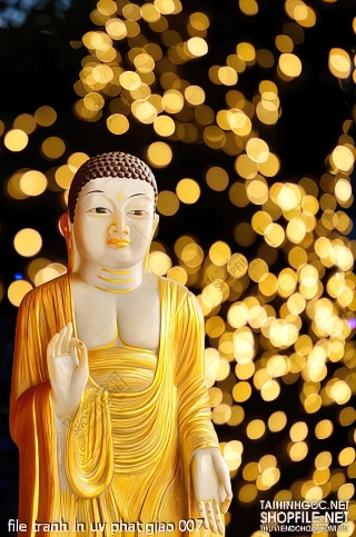 file tranh in uv phat giao 007