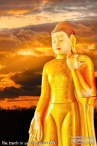 file tranh in uv phat giao 009