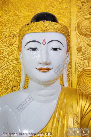 file tranh in uv phat giao 010