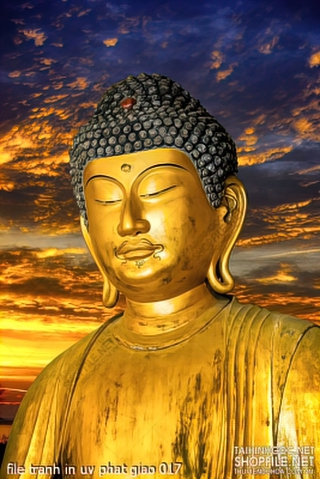 file tranh in uv phat giao 017