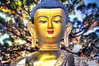 file tranh in uv phat giao 019