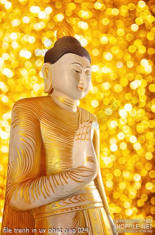 file tranh in uv phat giao 024