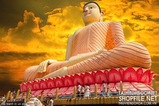 file tranh in uv phat giao 025