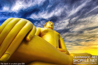 file tranh in uv phat giao 026