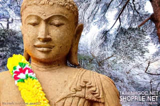 file tranh in uv phat giao 027