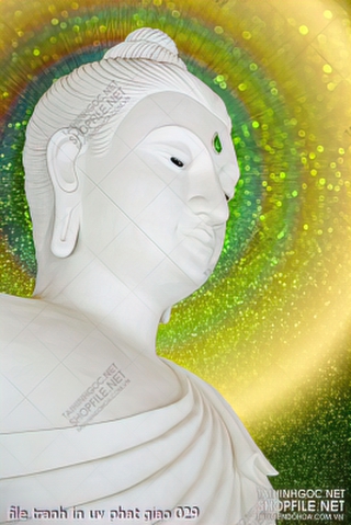 file tranh in uv phat giao 029