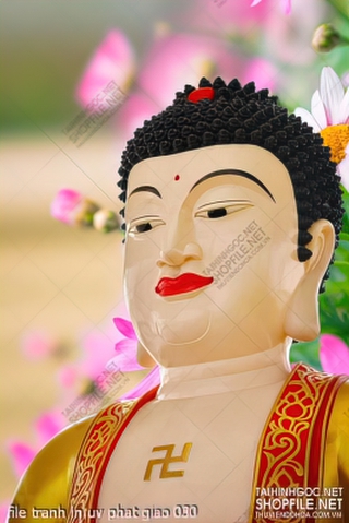 file tranh in uv phat giao 030