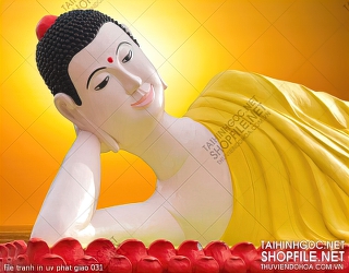 file tranh in uv phat giao 031