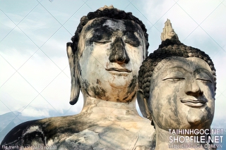 file tranh in uv phat giao 038