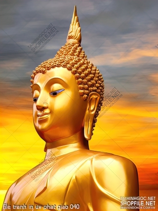 file tranh in uv phat giao 040