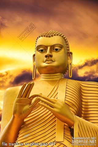 file tranh in uv phat giao 041