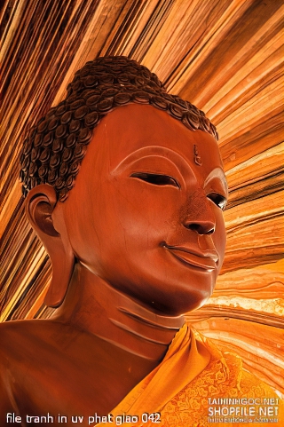 file tranh in uv phat giao 042