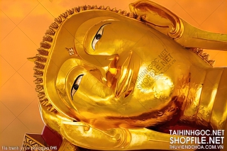 file tranh in uv phat giao 046