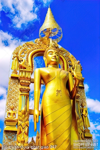 file tranh in uv phat giao 047