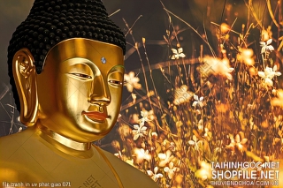 file tranh in uv phat giao 071