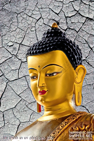 file tranh in uv phat giao 076