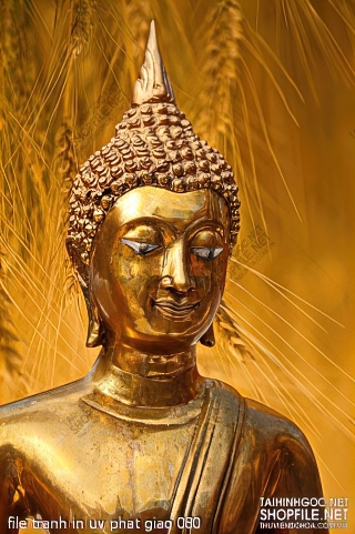 file tranh in uv phat giao 080