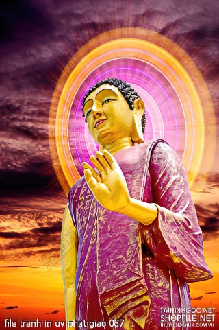 file tranh in uv phat giao 087