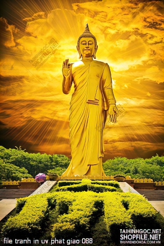 file tranh in uv phat giao 088