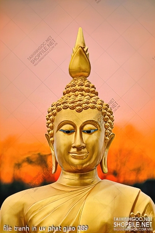 file tranh in uv phat giao 089