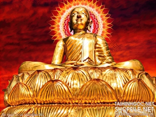 file tranh in uv phat giao 091