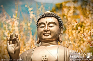 file tranh in uv phat giao 093