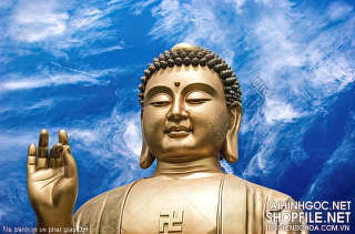 file tranh in uv phat giao 094