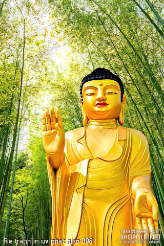 file tranh in uv phat giao 098