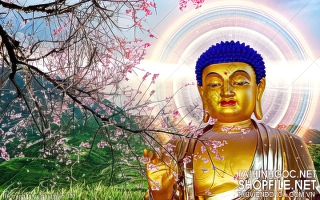 file tranh in uv phat giao 100