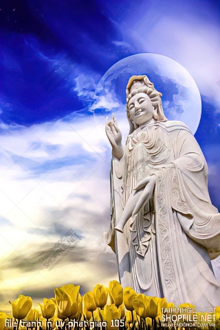 file tranh in uv phat giao 105