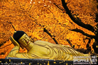 file tranh in uv phat giao 108