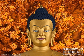 file tranh in uv phat giao 109