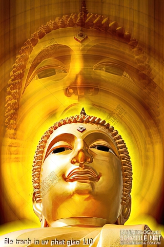 file tranh in uv phat giao 110