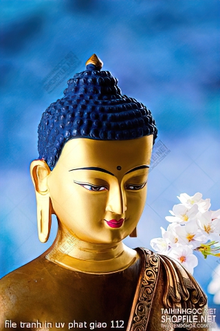 file tranh in uv phat giao 112