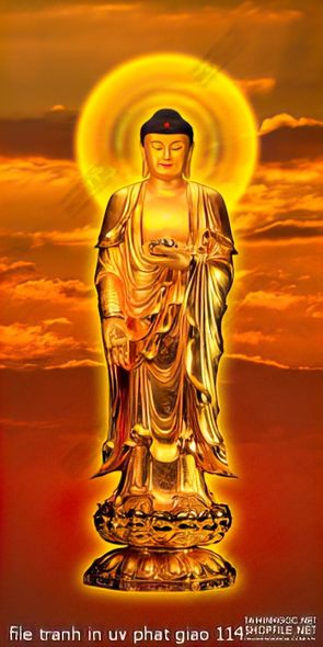 file tranh in uv phat giao 114